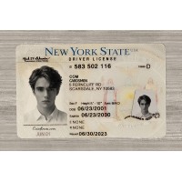 New York Fake ID